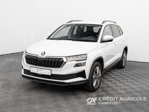 Skoda Karoq 2.0 TDI SCR 4x2 Ambition DSG